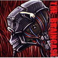 The Braincase : The Braincase